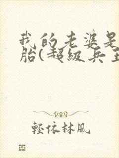 我的老婆是双胞胎(超级兵王在都市)