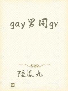 gay男同gv封面