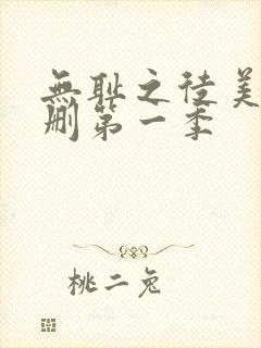 无耻之徒美版无删第一季