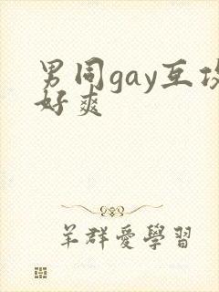 男同gay互攻好爽