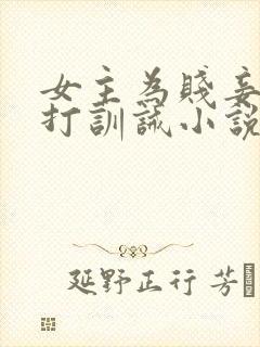 女主为贱妾,挨打训诫小说