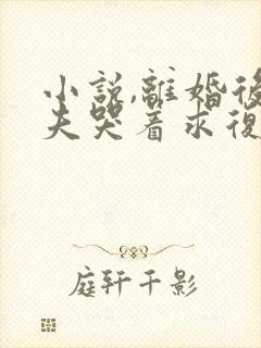 小说,离婚后前夫哭着求复婚
