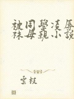 被同学凌辱的丝袜母亲小说封面