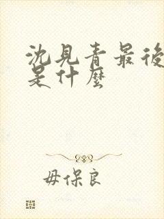 沈见青最后结局是什么