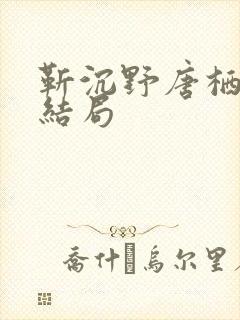 靳沉野唐栖后续结局