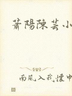 萧阳陈芸小说