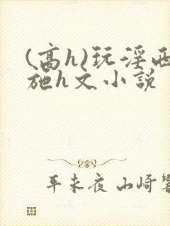 (高h)玩淫西施h文小说