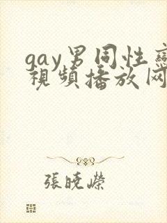 gay男同性恋视频播放网址