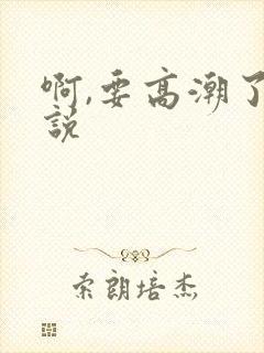 啊,要高潮了小说