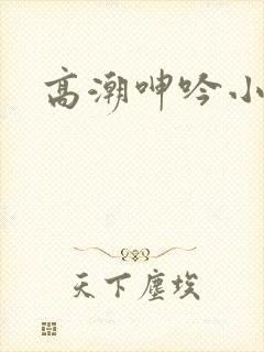 高潮呻吟小说