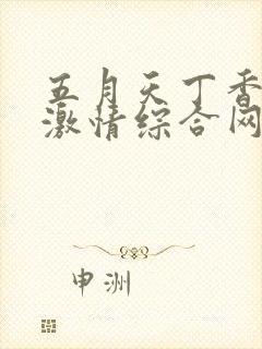 五月天丁香婷婷激情综合网