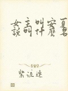 女主叫安夏的小说叫什么名字