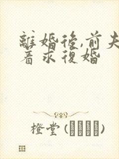 离婚后,前夫哭着求复婚