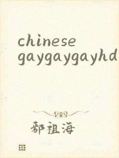 chinesegaygaygayhd