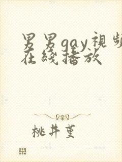 男男gay视频在线播放