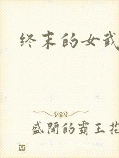 终末的女武神,封面