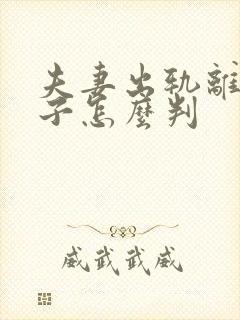 夫妻出轨离婚孩子怎么判封面