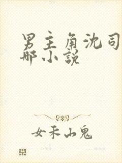 男主角沈司夜是哪小说封面