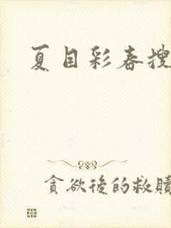 夏目彩春搜查官