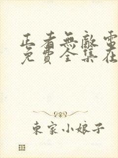 正者无敌电视剧免费全集在线观看