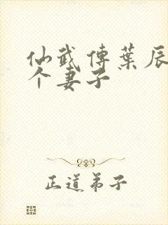 仙武传叶辰有几个妻子