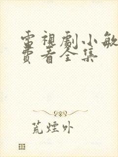 电视剧小敏家免费看全集