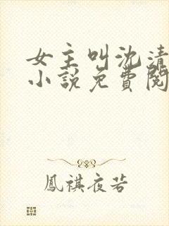 女主叫沈清梨的小说免费阅读