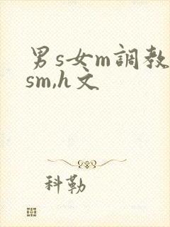 男s女m调教(sm,h文