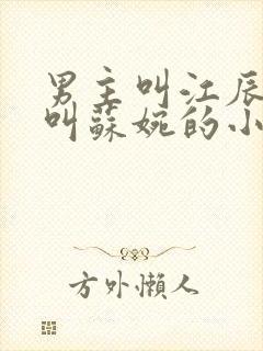 男主叫江辰女主叫苏婉的小说