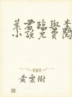 叶君临与李子柒小说免费阅读封面
