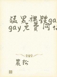 猛男裸体gaygay免费网站封面