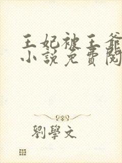 王妃被王爷责罚小说免费阅读
