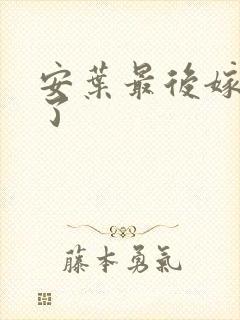 安叶最后嫁给谁了