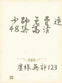 少帅免费连续剧48集高清封面