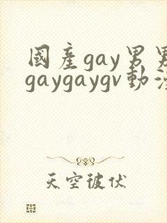 国产gay男男gaygaygv动漫