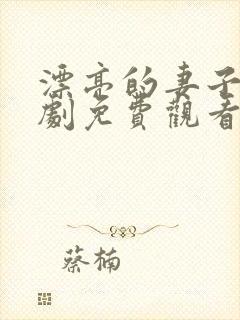 漂亮的妻子电视剧免费观看全集封面