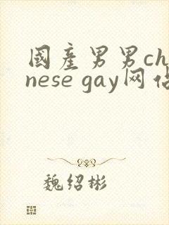 国产男男chinese gay网站封面