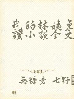 我的林姨免费阅读小说全文