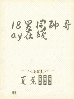 18男同帅哥gay在线
