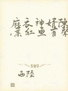 麻衣神婿陈黄皮,叶红鱼有声小说