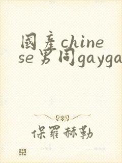 国产chinese男同gaygay网站