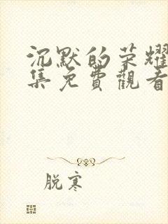 沉默的荣耀25集免费观看