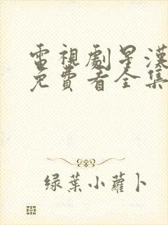 电视剧星汉灿烂免费看全集