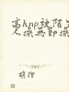 高hnp被陌生人操无节操小说