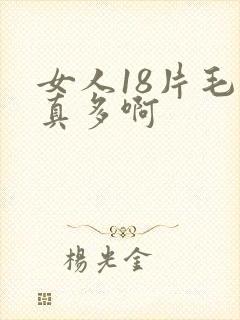 女人18片毛水真多啊封面