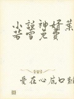 小说神婿叶凡唐若雪免费