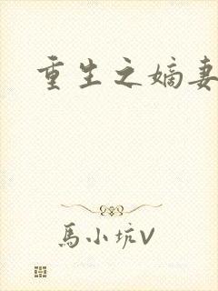 重生之嫡妻二嫁