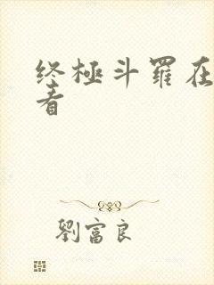 终极斗罗在线观看