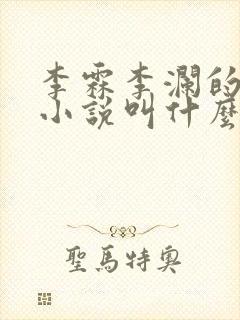 李霖李澜的官场小说叫什么