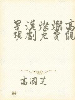 星汉灿烂高清电视剧免费观看完整版